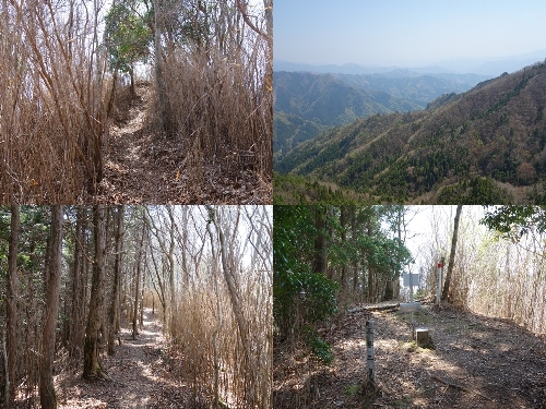 赤川浦岳山頂