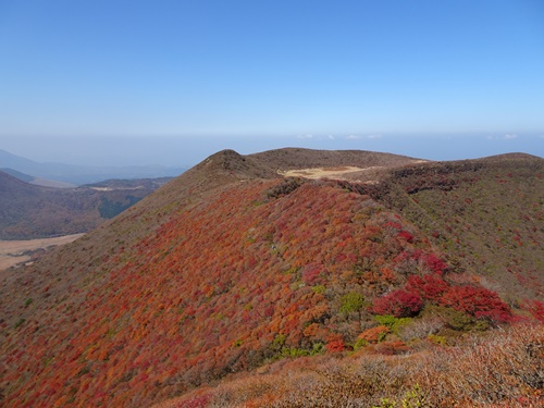 登山道から