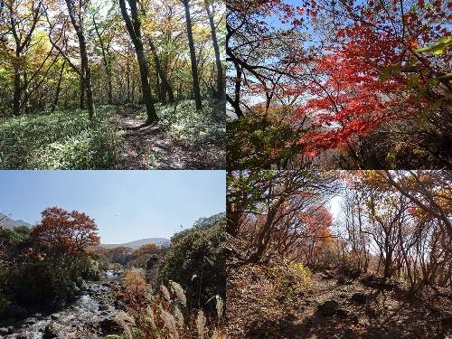 秋の登山道