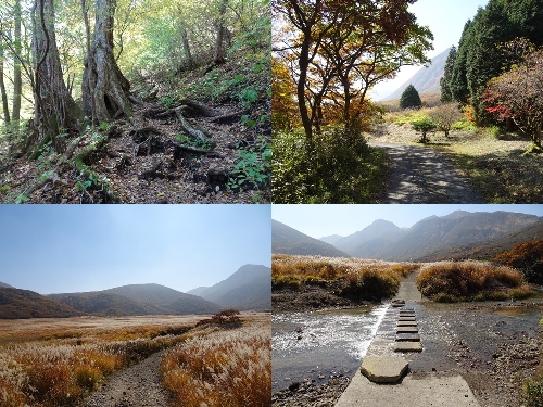 坊がつるまでの登山道