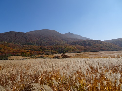 坊がつる