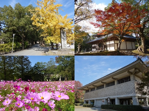 観世音寺