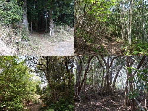 登山口からのルート