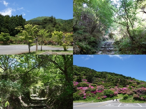 池ノ原園地からのルート