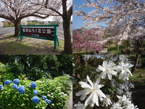 福智山山ろく花公園