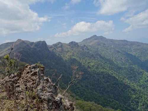 登山道から