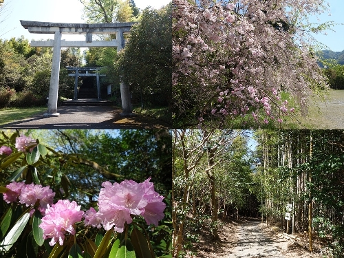 三ヶ所神社