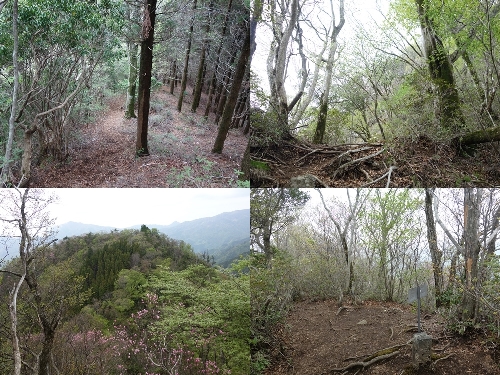 南峰への登山道