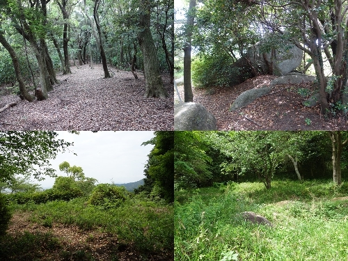 山頂付近