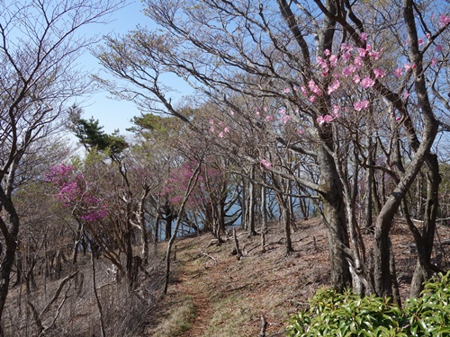 兜巾山へ