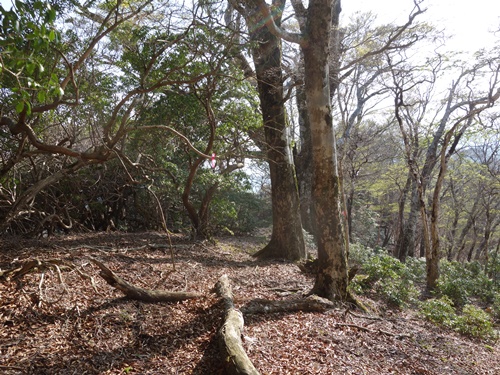 大吹登山口方面へ