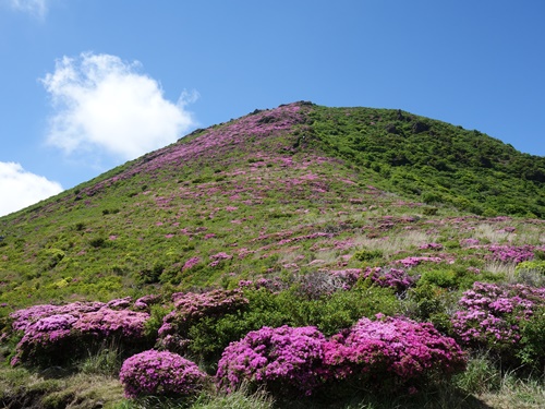 登山道から