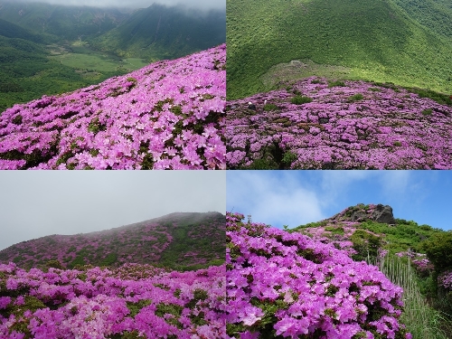 標高を上げていく