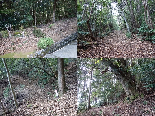 登山口と登山道