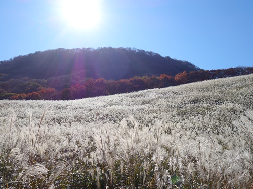 鷹巣原高原