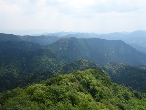 登山道から