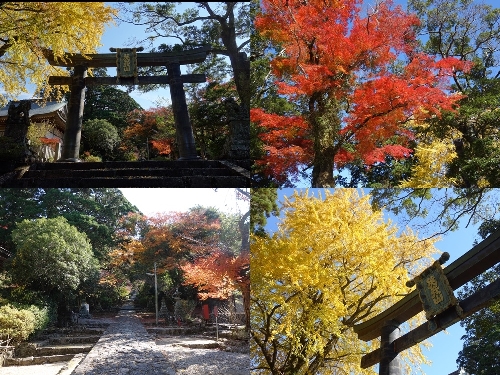 銅の鳥居