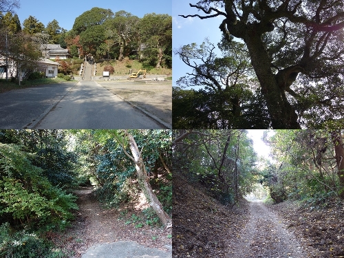登山口と登山道