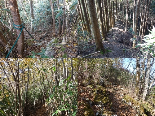 保口岳への登山道