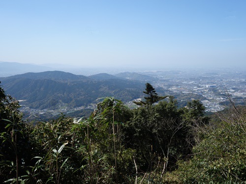 登山道から