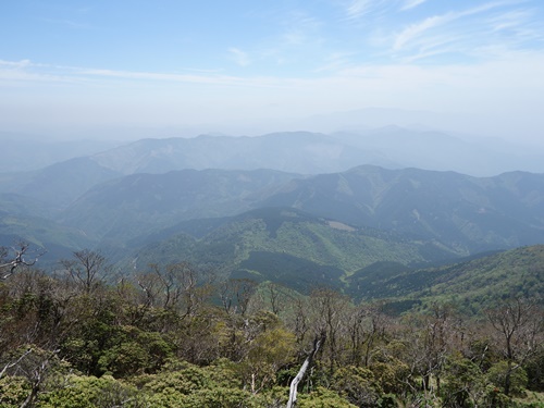 登山道から