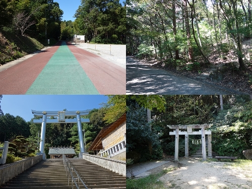 登山口からのルート