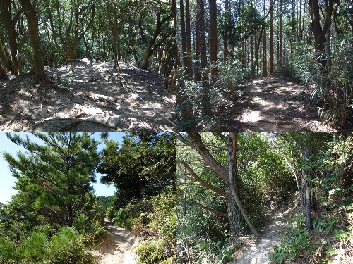 高地山への縦走