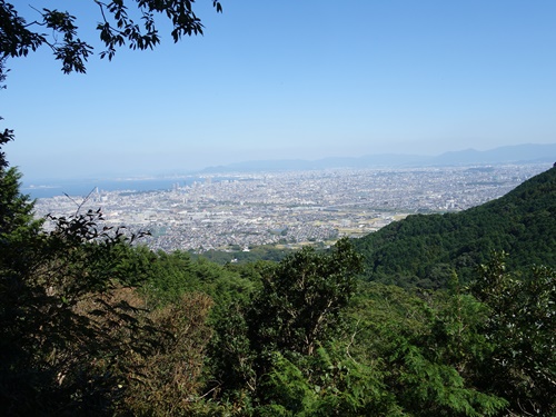 登山道から