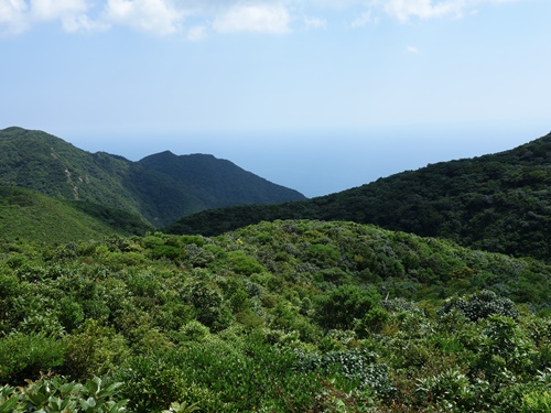 展望台から