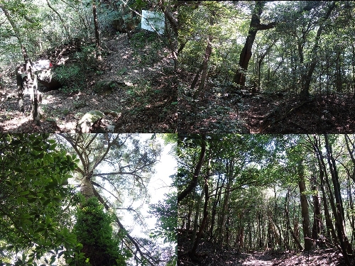 枯木岳からの登山道