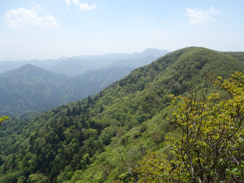 登山道から