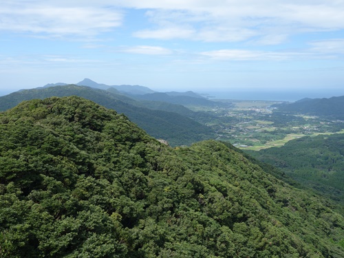 登山道から