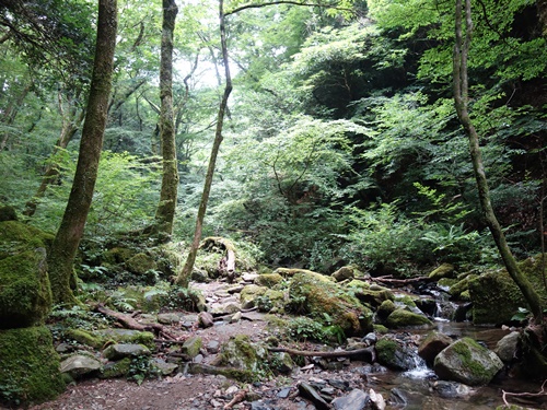 登山道から