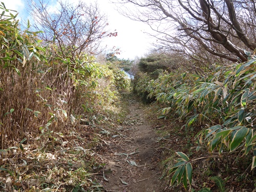 山頂手前