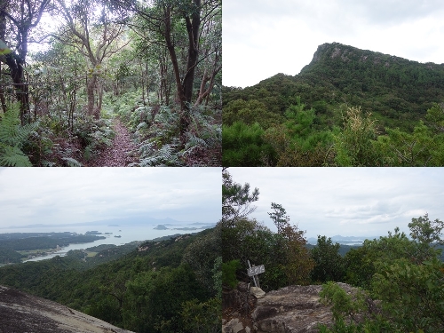 太郎丸嶽への登山道