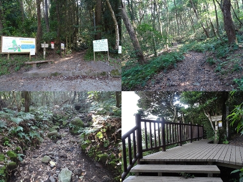 登山口からのルート