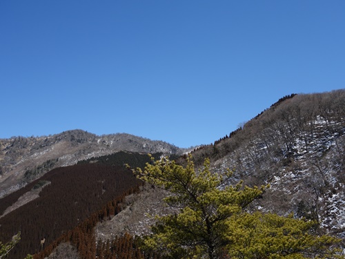 上福根山