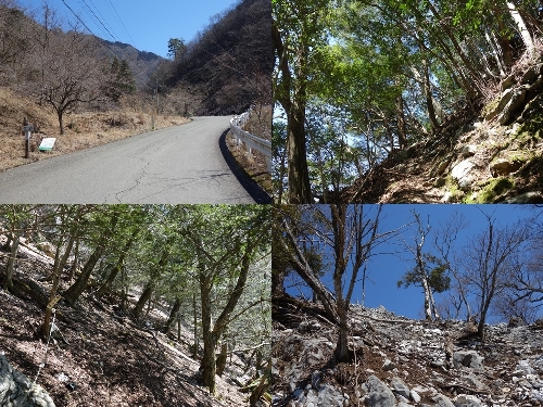 岩宇土山登山口付近