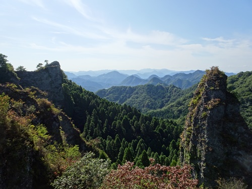 登山道から