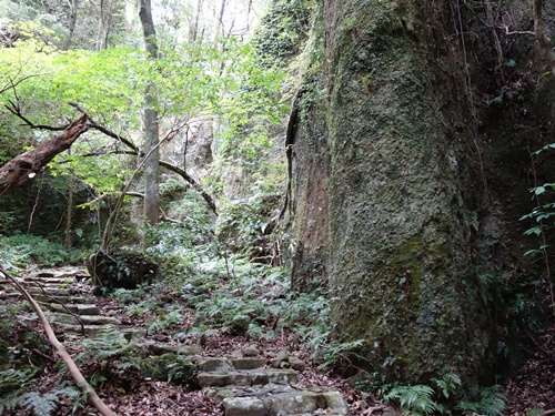 大きな岩