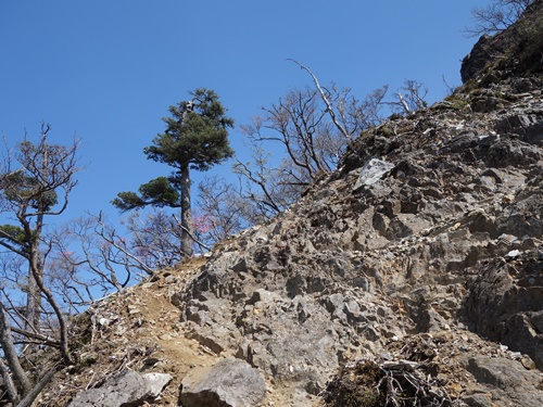 岩峰を登る