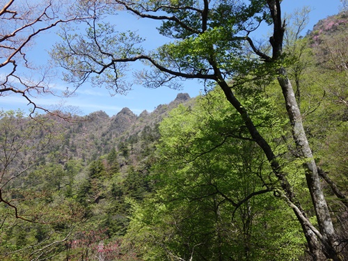 登山道から鹿納山