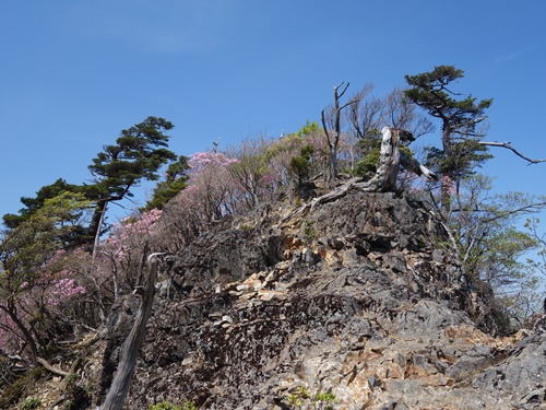 岩場