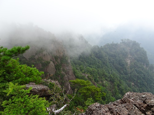 登山道から