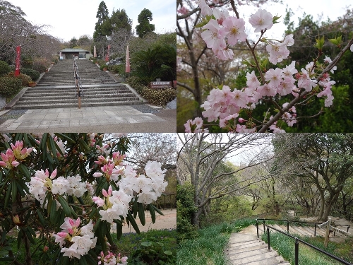 白野江植物公園