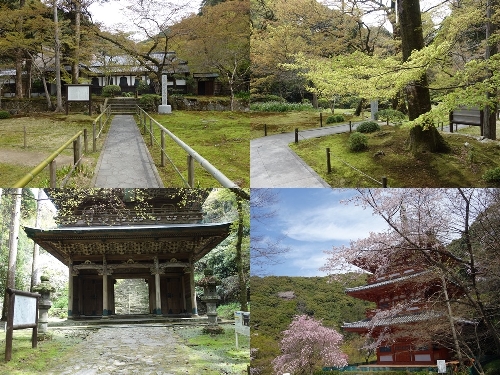 本坊庭園と清水寺