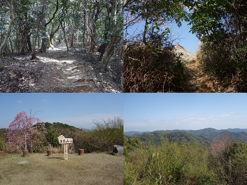 登山道