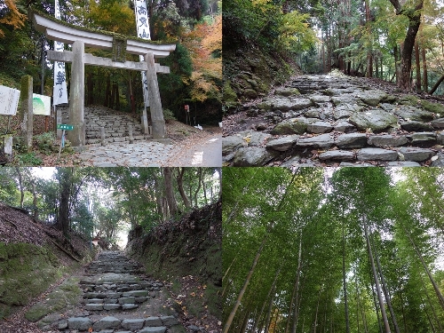 登山口と登山道