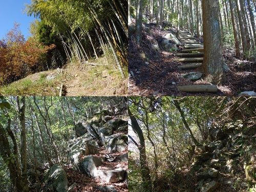 登山口と登山道