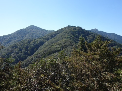 登山道から